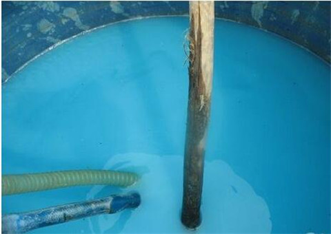 波爾多液在蘋果園的使用 波爾多液在蘋果園的使用