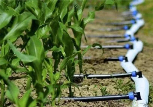 液體肥料現(xiàn)狀及發(fā)展 液體肥料現(xiàn)狀及發(fā)展