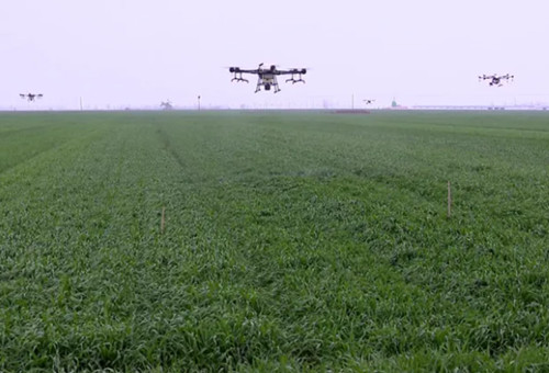 液體肥應(yīng)用 液體肥應(yīng)用