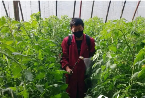 液體肥使用 液體肥使用