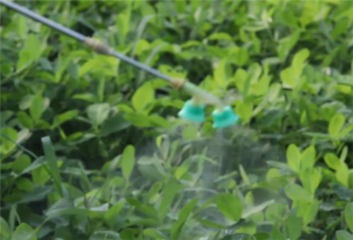 螯合態肥使用注意 螯合態肥使用注意