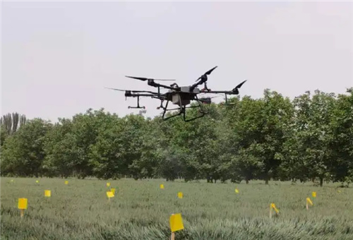 液體肥施肥注意 液體肥施肥注意