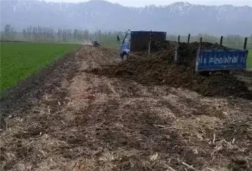 液體肥施肥注意 液體肥施肥注意