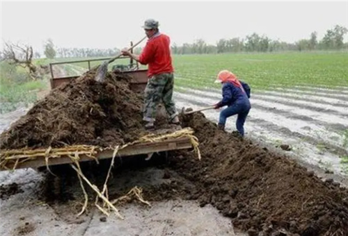 液肥施用注意 液肥施用注意