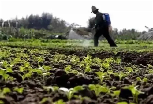 液體有機(jī)肥能否作基肥 液體有機(jī)肥能否作基肥
