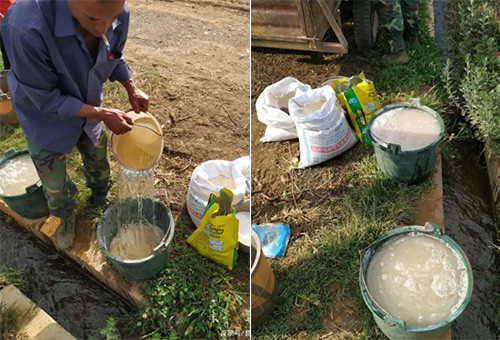 液體肥追施要求注意 液體肥追施要求注意