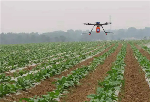 液肥使用方法 液肥使用方法