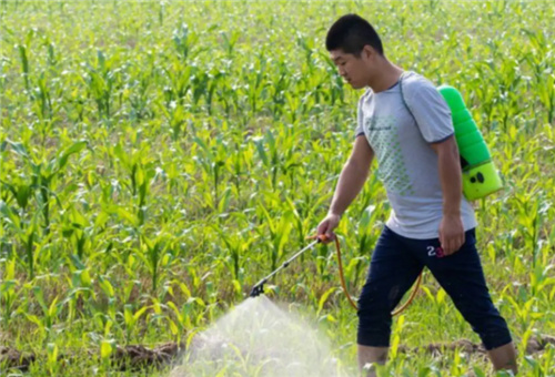 液體肥使用注意 液體肥使用注意