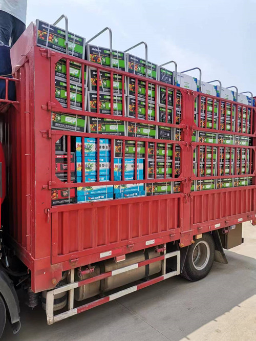 大量元素液體緩釋肥發貨 大量元素液體緩釋肥發貨