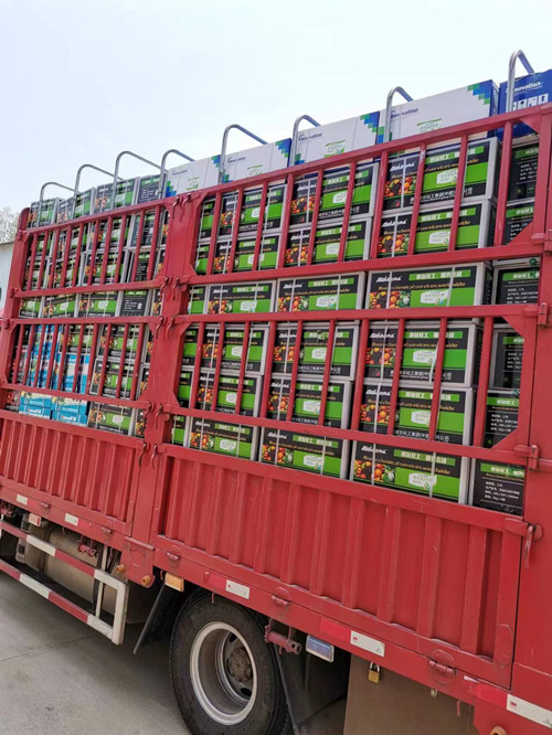 大量元素液體緩釋肥發貨 大量元素液體緩釋肥發貨