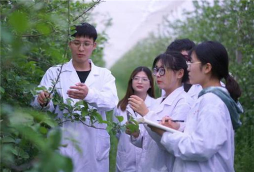 青島大學團隊 青島大學團隊