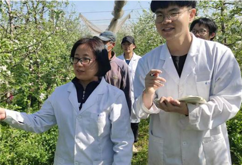 糖醇螯合液體肥料特點 糖醇螯合液體肥料特點