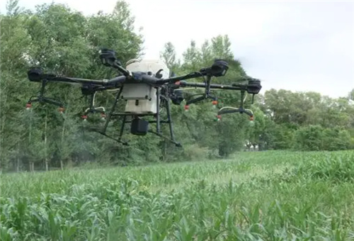 液體肥使用注意 液體肥使用注意