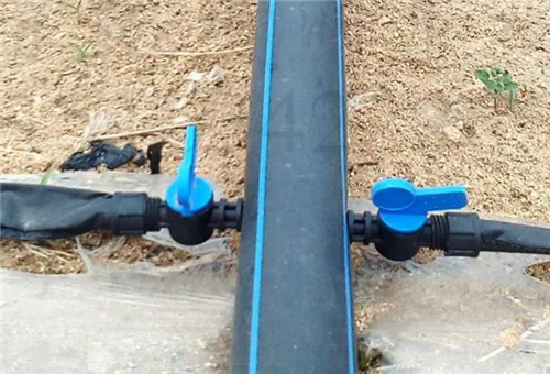 花椰菜追肥補(bǔ)救 花椰菜追肥補(bǔ)救