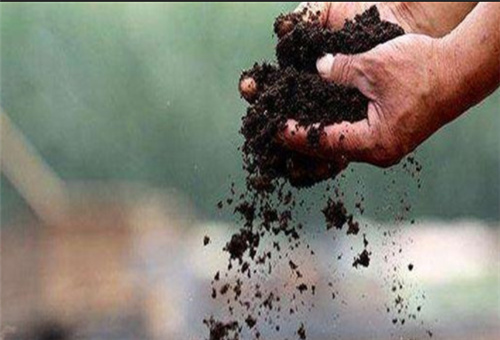 農家肥發酵基肥 農家肥發酵基肥