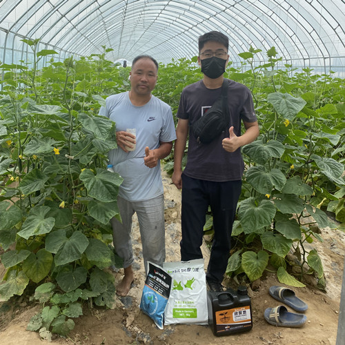 摩爾試驗田2 摩爾試驗田2