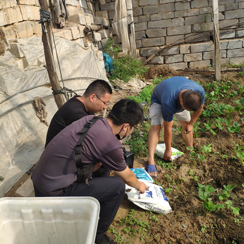 種植戶了解速溶性肥料中 種植戶了解速溶性肥料中