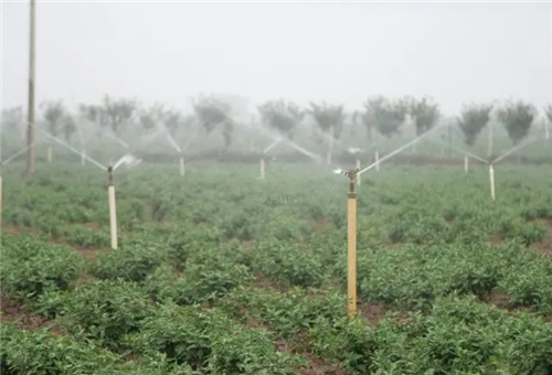 液體肥料應用方面 液體肥料應用方面