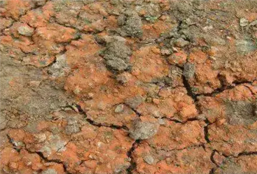 酸性液肥適用土壤 酸性液肥適用土壤