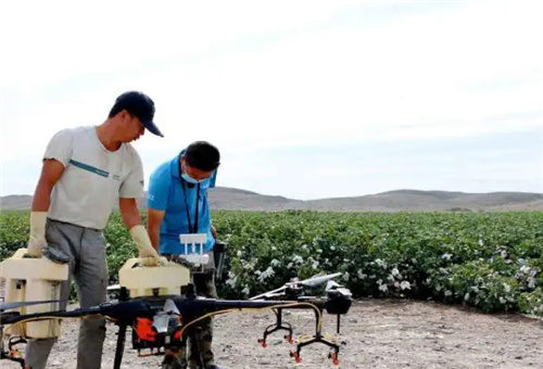 通用肥使用時間 通用肥使用時間