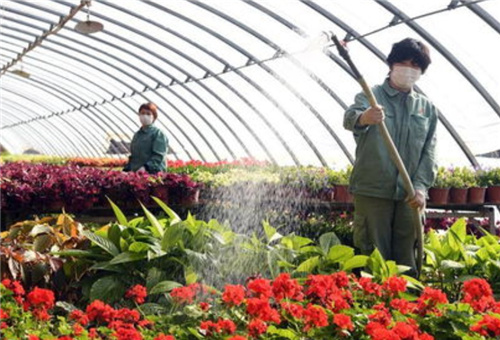 花卉種植施液體肥 花卉種植施液體肥