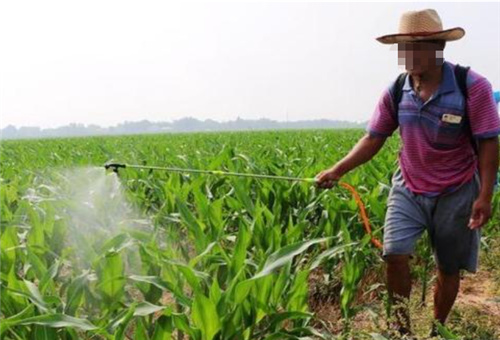 液肥正確施用 液肥正確施用