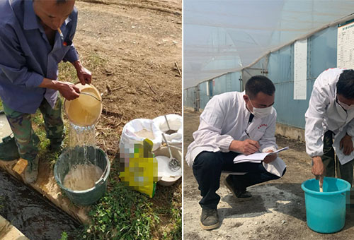 液肥正確稀釋 液肥正確稀釋