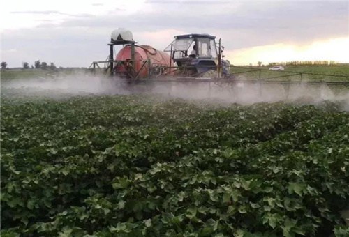 糖醇鈣硼復配問題 糖醇鈣硼復配問題