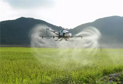 液體肥料使用關鍵 液體肥料使用關鍵