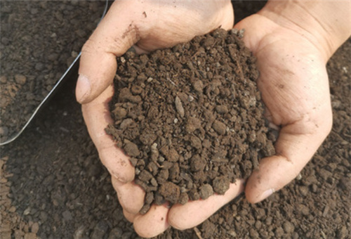 草莓底肥 草莓底肥