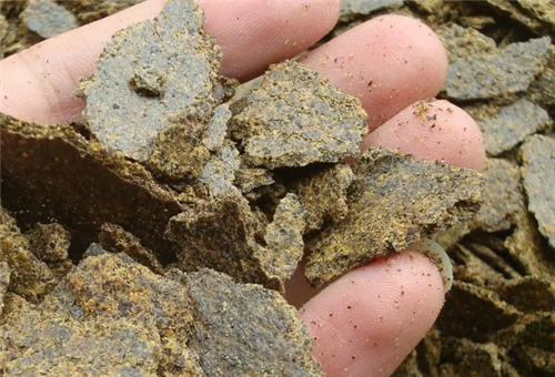 韭菜餅肥 韭菜餅肥