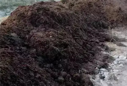 液肥使用前提 液肥使用前提