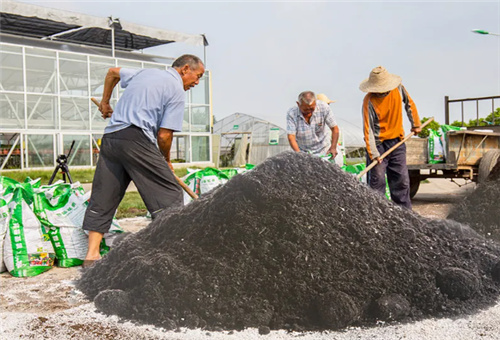 葡萄增甜施好底肥 葡萄增甜施好底肥