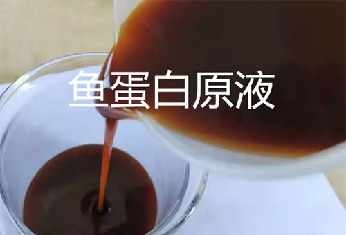 魚肽原漿特點 魚肽原漿特點