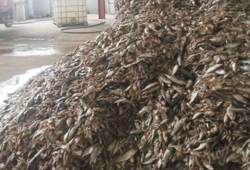 魚蛋白原料 魚蛋白原料