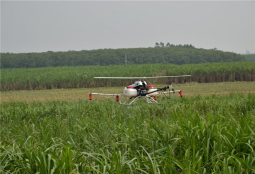 魚(yú)蛋白原漿使用條件 魚(yú)蛋白原漿使用條件