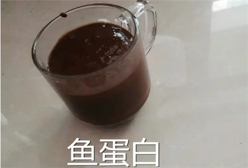 魚(yú)蛋白不含氮磷鉀 魚(yú)蛋白不含氮磷鉀