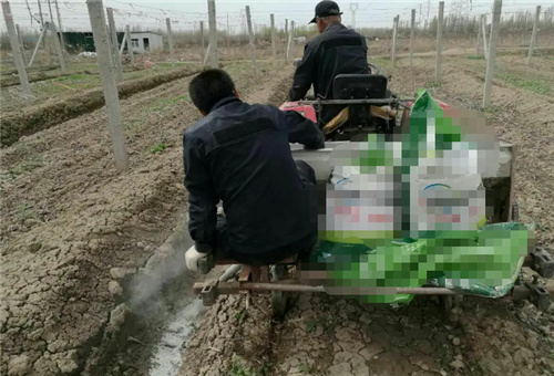 魚蛋白使用注意 魚蛋白使用注意