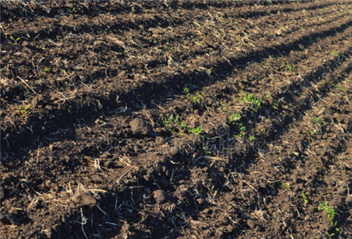 酶解魚蛋白用途 酶解魚蛋白用途
