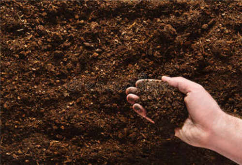魚蛋白調(diào)節(jié)土壤 魚蛋白調(diào)節(jié)土壤