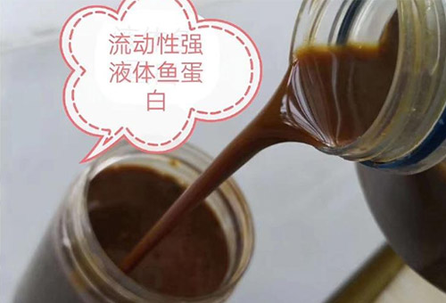 魚蛋白用法常見 魚蛋白用法常見