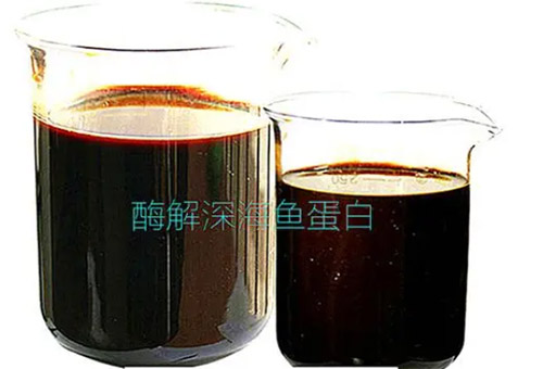 魚蛋白優劣辨別 魚蛋白優劣辨別