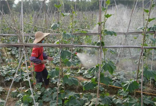 酶解多肽魚蛋白噴施 酶解多肽魚蛋白噴施