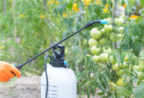 魚蛋白使用要領 魚蛋白使用要領