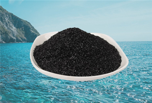 海藻精肥料 海藻精肥料