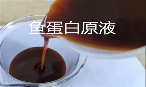 魚蛋白原液 魚蛋白原液