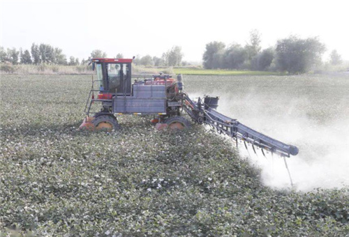 魚肽蛋白肥噴施 魚肽蛋白肥噴施